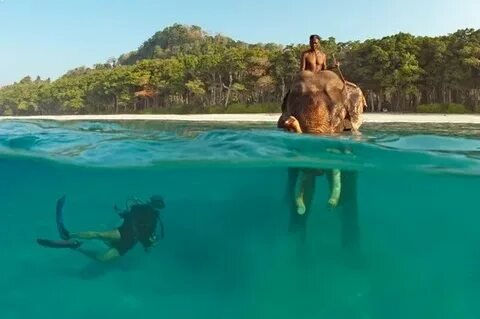 Snorkeling Elephant Beach Andaman