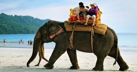 Elephant Beach Water Sports