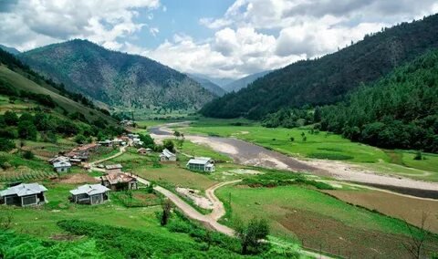 Sangti Valley Apple Orchards