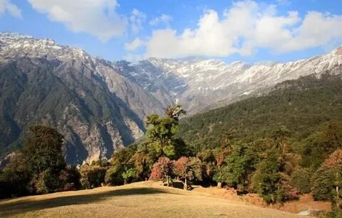 Safe Himalayan Nature