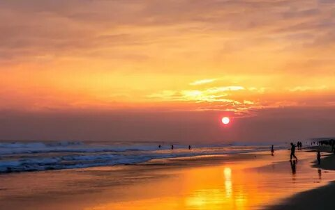 Puri Golden Beach And Aarti - The Holiday Trips