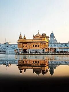 Golden Temple Reflection - The Holiday Trips