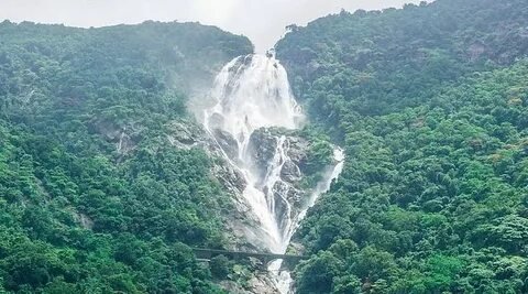 Dudhsagar Waterfalls Goa