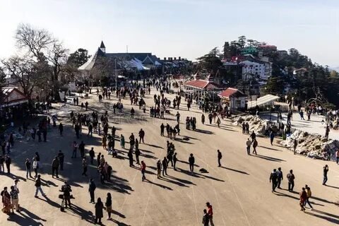 Shimla Ridge Family Walk