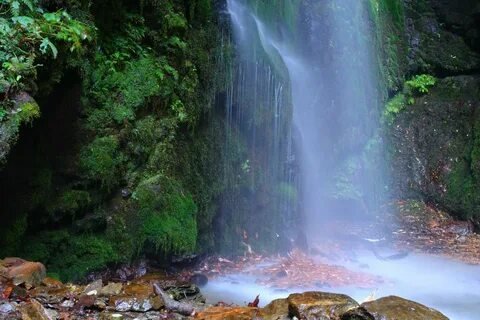 Jibhi Waterfall and pine forests
