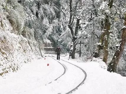Snowy roads in Shimla