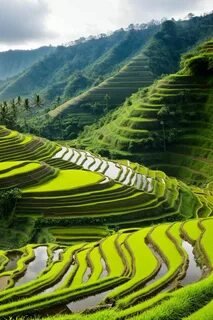 Bali Adventure Nature Tour