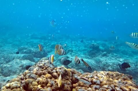 Gili Islands Snorkeling