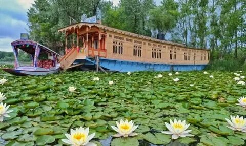 Srinagar Dal Lake Houseboat