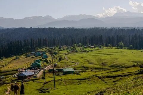 Yusmarg Meadows Kashmir