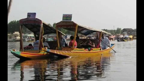 Shikara ride on misty Dal Lake