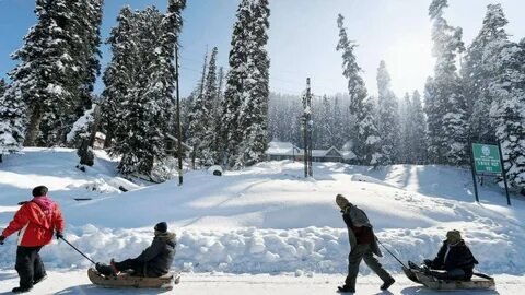 Gulmarg Snow Activities