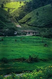 Scenic Kerala Landscapes