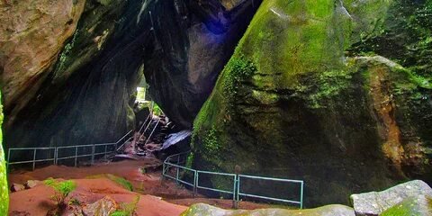 Edakkal Caves Wayanad Forest
