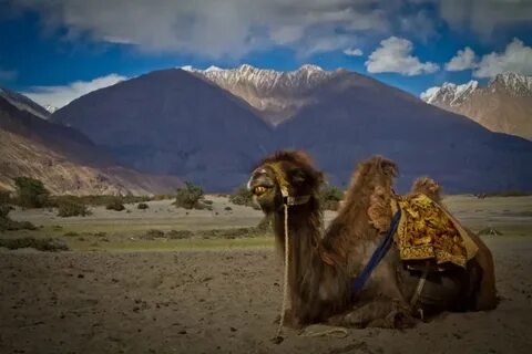 Khardung La Pass Highest Motorable Road