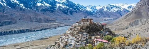 Bactrian Double Humped Camel Nubra Valley