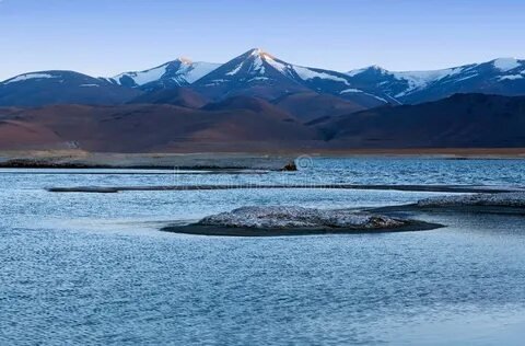 Moore Plains Ladakh