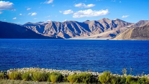 Pangong Lake View