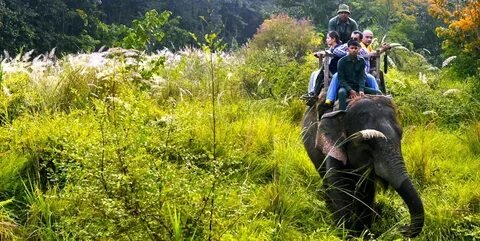 Best of Nepal Kathmandu Pokhara Chitwan
