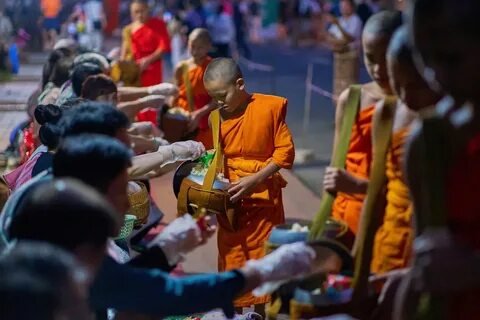 Buddhist Monks Praying