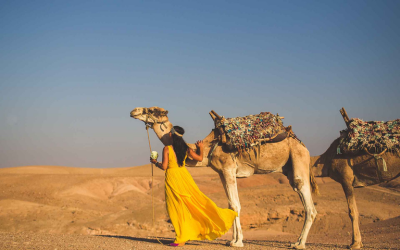 rajasthan Desert and Lakes