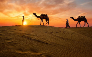 Thar Desert Safari