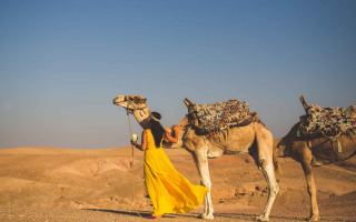 Thar Desert Safari Camel Ride