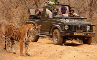 Ranthambore National Park Jeep Safari