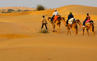Thar Desert Safari