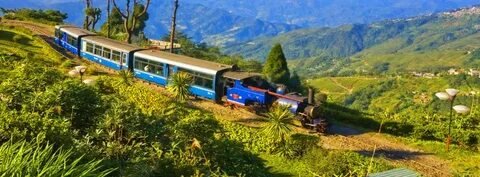 Darjeeling Toy Train