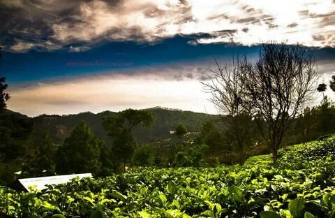 Offbeat Kumaon Hills