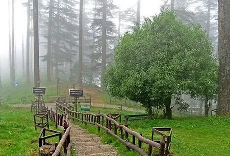 Mussoorie Hills Uttarakhand