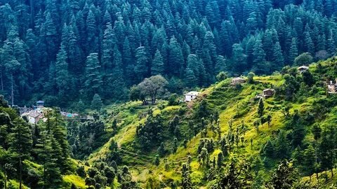 Uttarakhand Temples