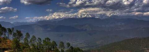 Kausani Tea Estates
