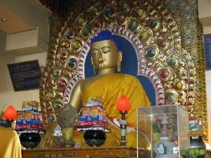 Peaceful Tibetan Monastery in Dharamshala