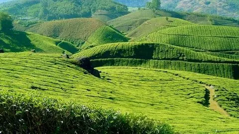 7 Days Kerala Classic Tour Package - The Holiday Trips