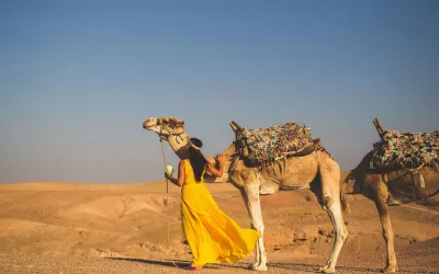 Udaipur Jaisalmer Family Tour