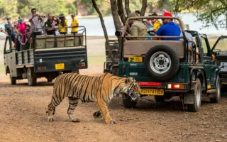 5 Days rajasthan Wildlife Tour Package - The Holiday Trips
