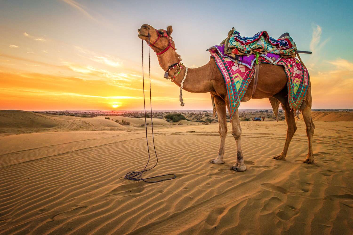 jaisalmer desert