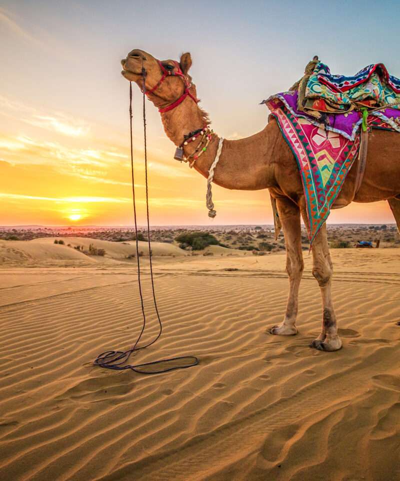 jaisalmer desert